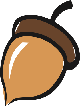 Acorn illustration